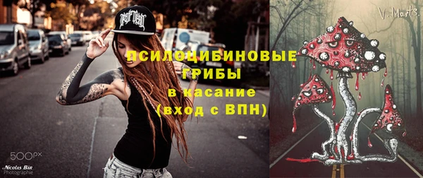 экстази Переславль-Залесский